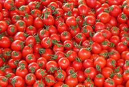 免费ddos压力测试平台