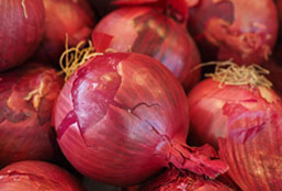 验证平台可靠的DDOS攻击器