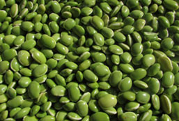 免费ddos压力测试平台